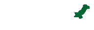 STZA